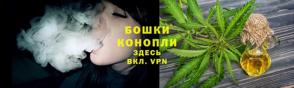 трава Наволоки