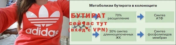 крисы Мегион