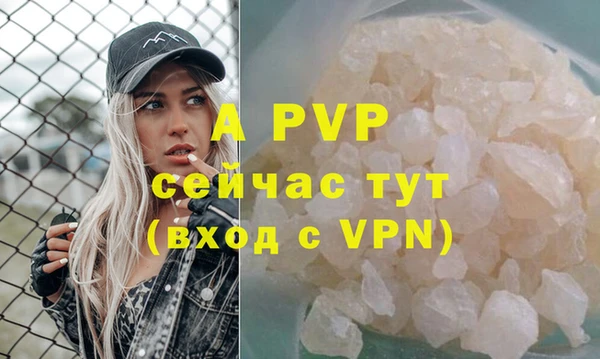 крисы Мегион