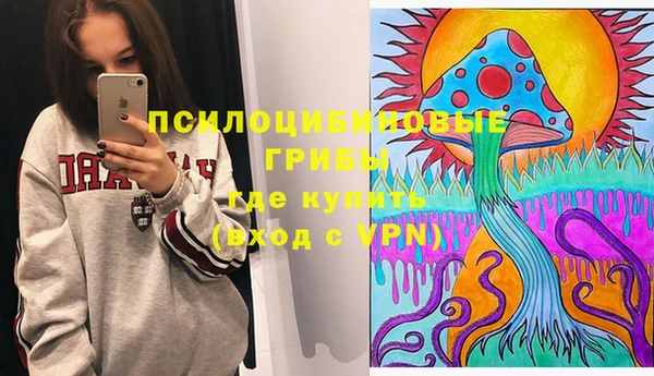крисы Мегион