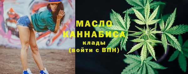 крисы Мегион