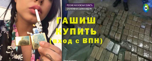 крисы Мегион