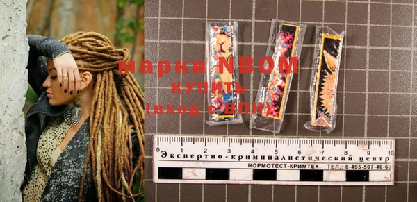 крисы Мегион