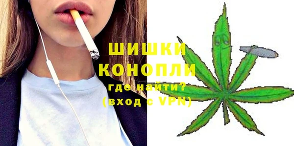 крисы Мегион