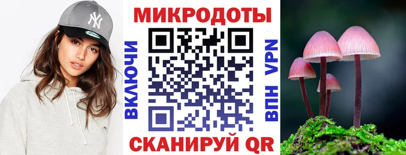 купить закладку  блэк спрут зеркало  Псилоцибиновые грибы мицелий  Махачкала 