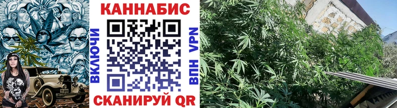 Конопля Bruce Banner Махачкала